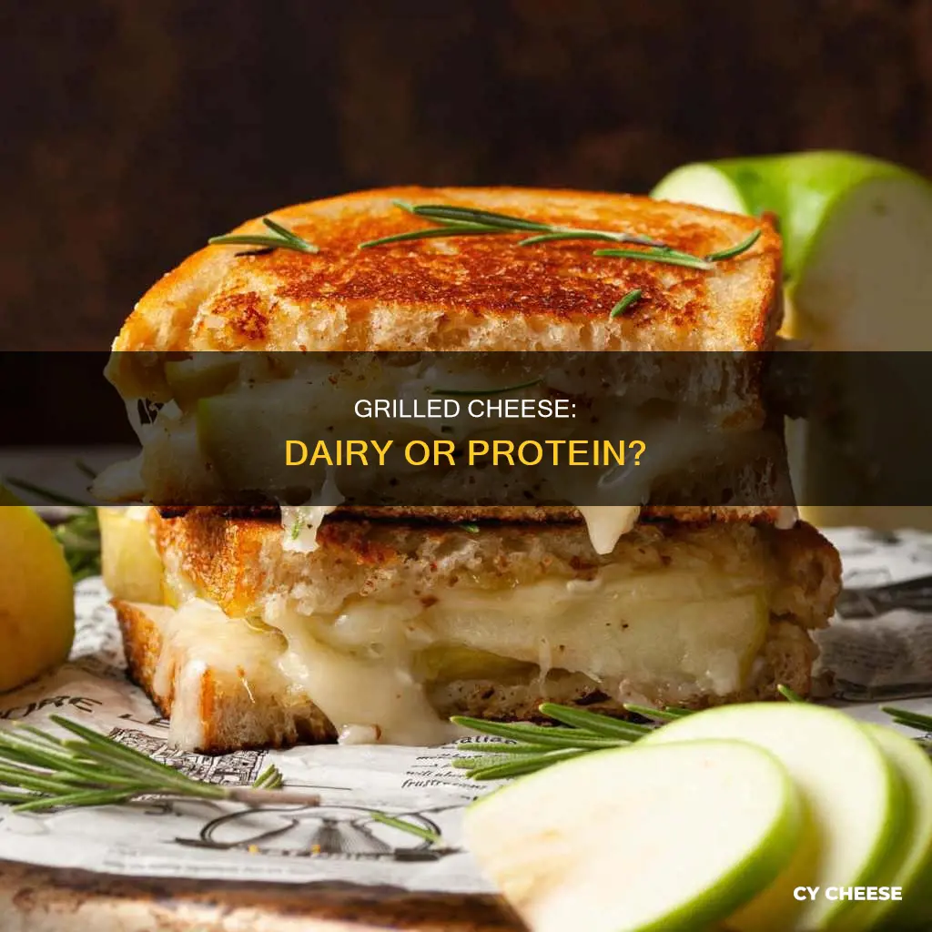 is grilled cheese dairy or protein