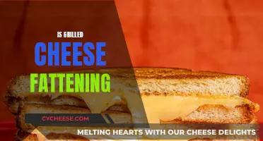 Cheese Toastie Diet: Fattening or Healthy?