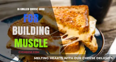 Grilled Cheese and Muscle Building: A Surprising Protein-Packed Snack?