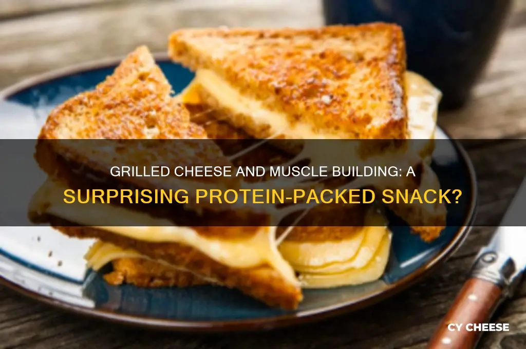 is grilled cheese good for building muscle