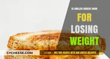 Can Grilled Cheese Fit into a Healthy Weight Loss Plan?