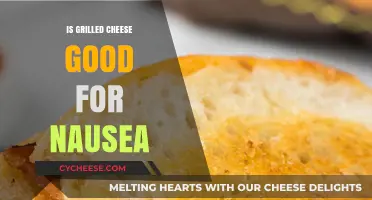 Grilled Cheese for Nausea: A Comforting Remedy or Myth?