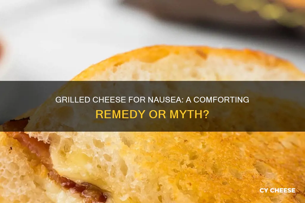 is grilled cheese good for nausea