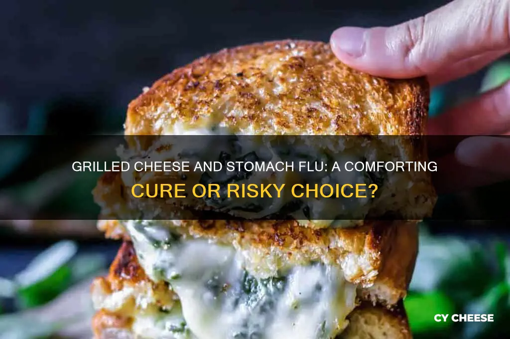 is grilled cheese good for stomach flu