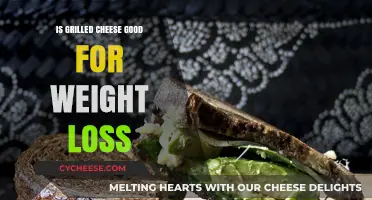 Can Grilled Cheese Fit into a Healthy Weight Loss Diet?