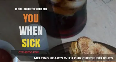 Grilled Cheese When Sick: Comfort Food or Health Boost?