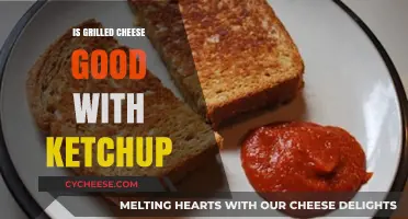 Grilled Cheese and Ketchup: A Match Made in Heaven or Not?
