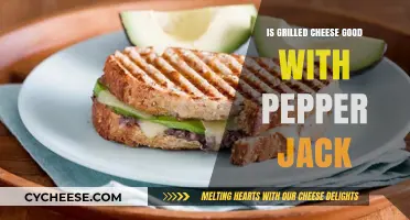 Pepper Jack Grilled Cheese: A Spicy Twist Worth Trying?
