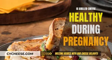 Grilled Cheese: Healthy Pregnancy Snack or Not?