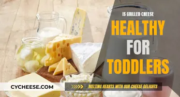 Grilled Cheese for Toddlers: Healthy or Not?