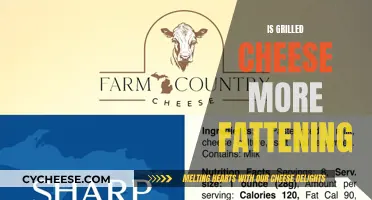 Cheese Toastie Diet: Fattening or Healthy?