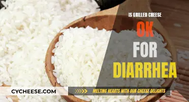 Grilled Cheese: Friend or Foe During Diarrhea?