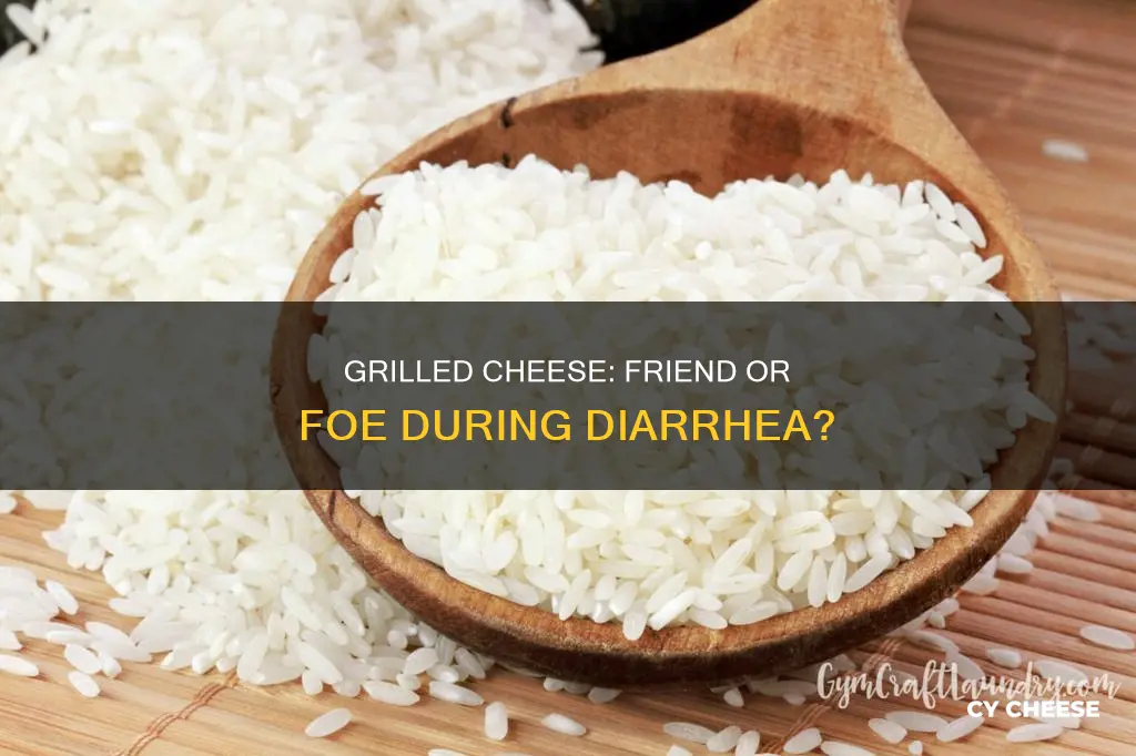 is grilled cheese ok for diarrhea