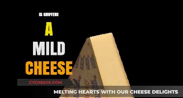 Is Gruyere Mild? Exploring the Flavor Profile of This Swiss Cheese