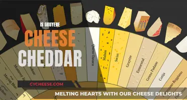 Gruyere vs. Cheddar: Unraveling the Cheesy Differences