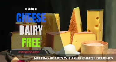 Gruyere Cheese: A Dairy-Free Delight or Dairy Disaster?