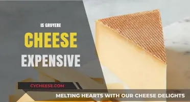 Is Gruyere Cheese Expensive? Exploring Costs and Value