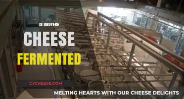 Is Gruyere Cheese Fermented? Unveiling the Aging Process and Flavor Secrets