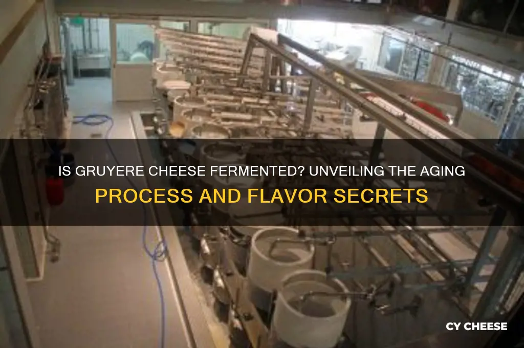 is gruyere cheese fermented