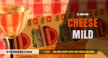 Is Gruyere Cheese Mild? Exploring Its Flavor Profile and Uses