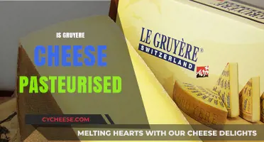 Is Gruyere Cheese Pasteurized? Uncovering the Truth About This Swiss Delight