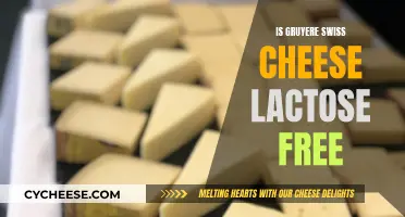 Gruyere Cheese and Lactose: What You Need to Know