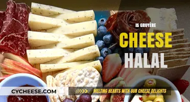 Is Gruyère Cheese Halal? Exploring Its Ingredients and Certification