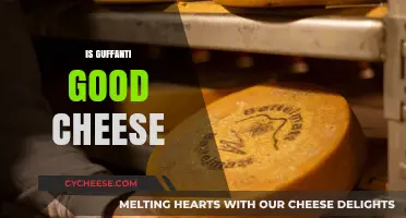 Is Guffanti Cheese Worth the Hype? A Tasty Review