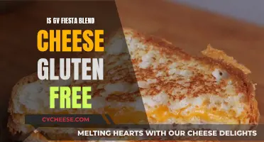 Gluten-Free Fiesta: GV Cheese Blend
