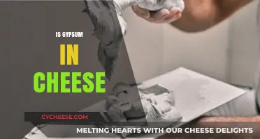 Is Gypsum in Cheese? Unraveling the Role of Additives in Dairy