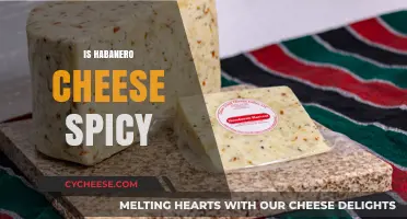 Is Habanero Cheese Spicy? Exploring Heat Levels and Flavor Profiles