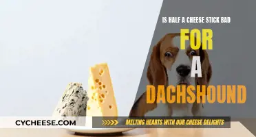 Cheese Sticks: Dachshunds' Delicious Danger