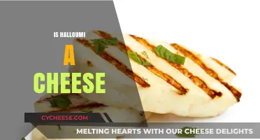 Is Halloumi Really Cheese? Unraveling the Mystery Behind This Grilling Favorite