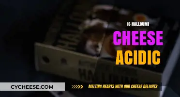 Is Halloumi Cheese Acidic? Uncovering Its pH Level and Health Impact