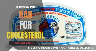 Halloumi Cheese: Friend or Foe to Cholesterol?