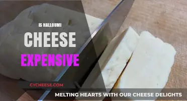 Is Halloumi Cheese Expensive? Exploring Costs and Budget-Friendly Options