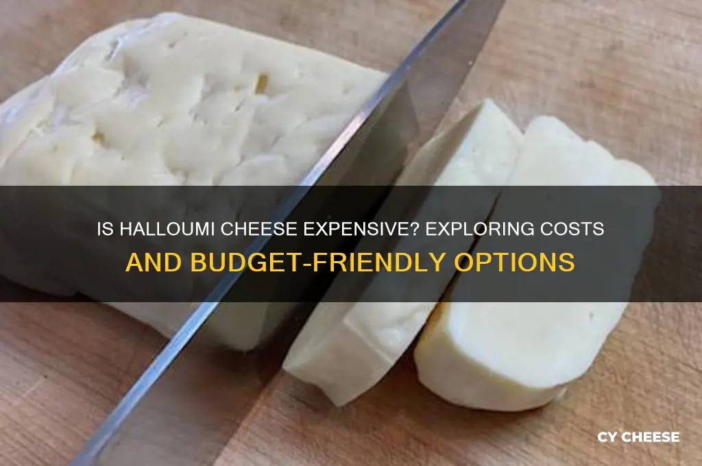 is halloumi cheese expensive
