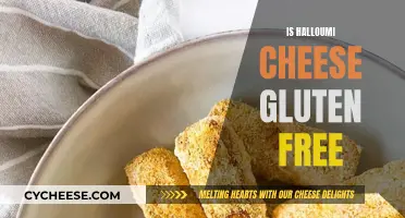 Gluten-Free Halloumi Cheese: What You Need to Know