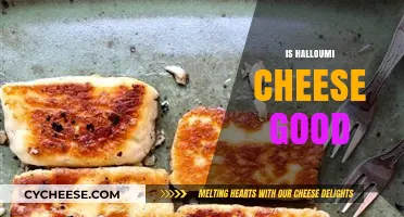 Is Halloumi Cheese Good? Exploring Its Taste, Health, and Versatility