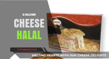 Is Halloumi Cheese Halal? Exploring Its Ingredients and Preparation