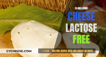 Halloumi Cheese: Lactose-Free Superfood or Dairy Danger?