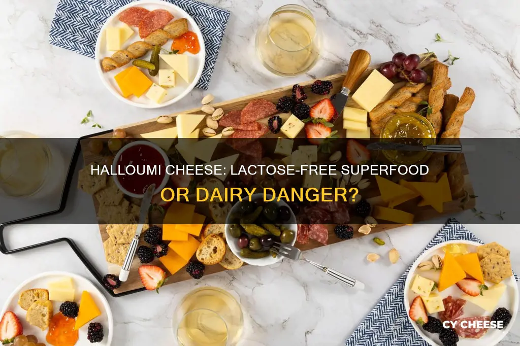 is halloumi cheese lactose free
