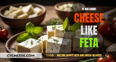 Halloumi and Feta: Similarities and Differences Explained