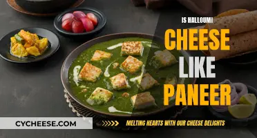 Halloumi and Paneer: A Cheesy Comparison