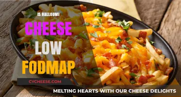 Is Halloumi Cheese Low FODMAP? A Diet-Friendly Cheese Guide