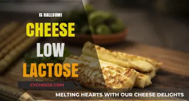 Is Halloumi Cheese Low Lactose? A Tasty Truth Revealed