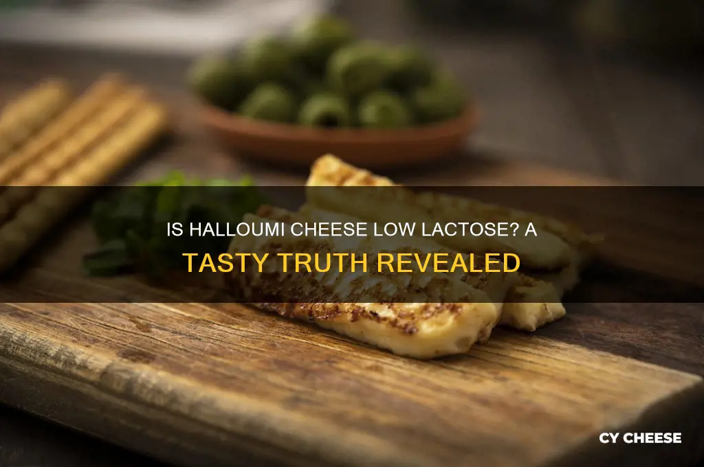 is halloumi cheese low lactose
