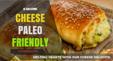 Is Halloumi Cheese Paleo-Friendly? A Dietary Guide for Paleo Eaters