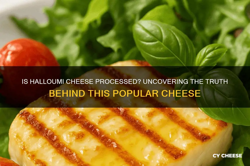 is halloumi cheese processed