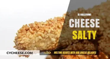 Is Halloumi Cheese Salty? Exploring Its Unique Flavor and Salt Content